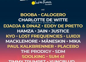 animateur micro festival