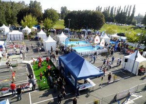 présentateur sportif
