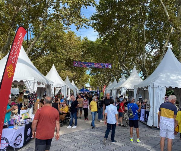 animateur evenementiel Montpellier