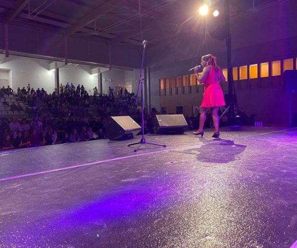 animation-evenement-concert