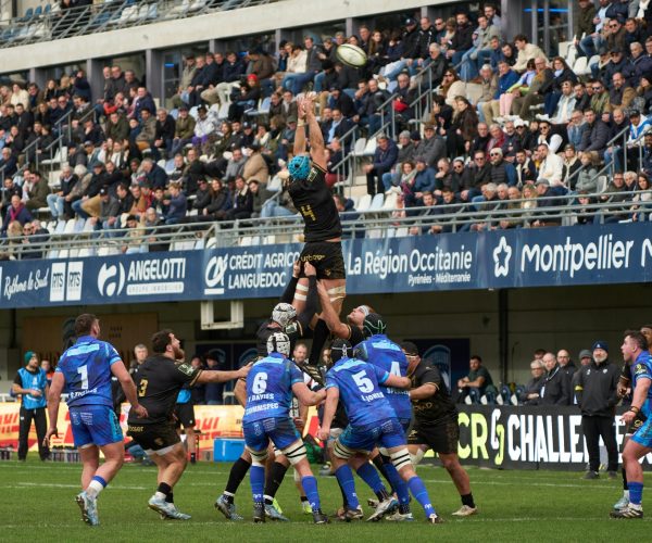 présentateur sportif match
